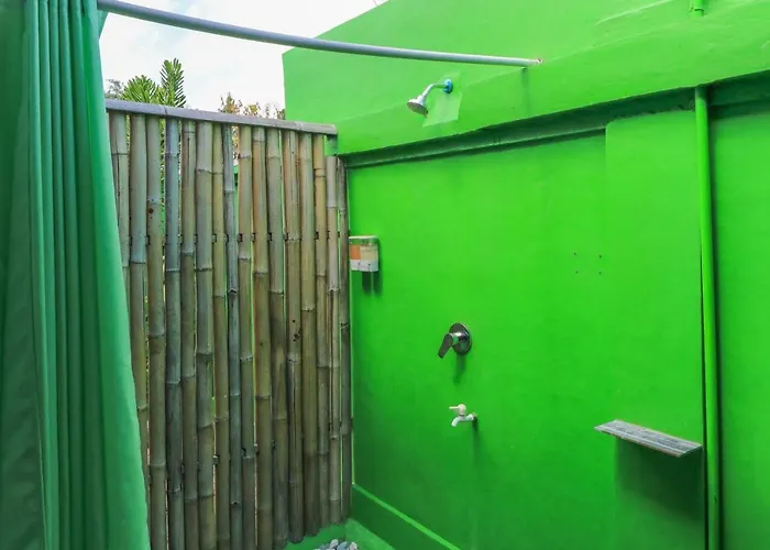 Hostel The Green Groves *