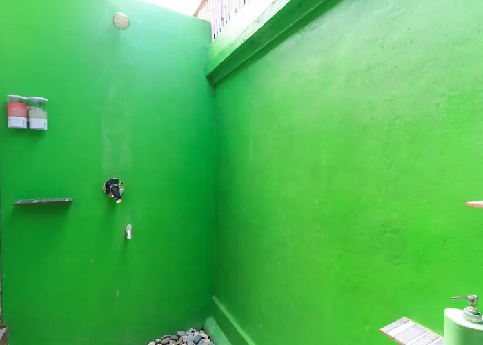 The Green Groves Hostel