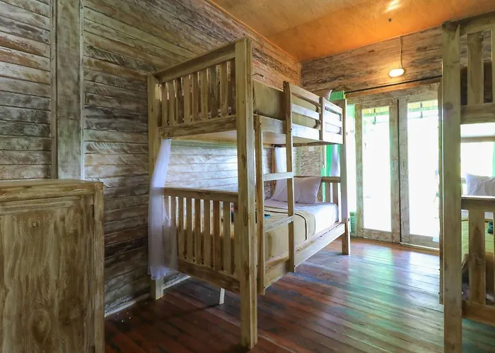Hostel The Green Groves
